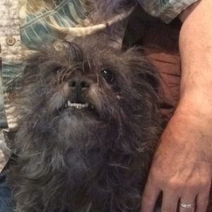 Meet your Posher, James